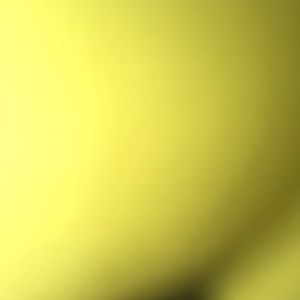 Meet your Posher, Maddie